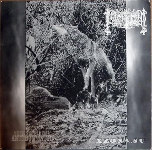 Lucifugum -  (1995-2021)