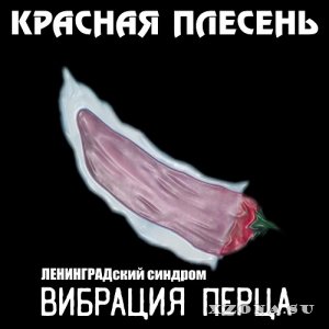   -   & Compilation (2003 - 2021)