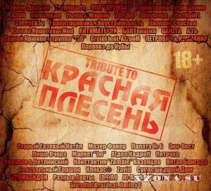   -   & Compilation (2003 - 2021)