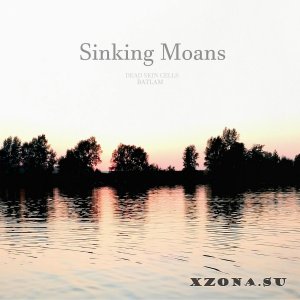 Batlam / Dead Skin Cells - Sinking Moans (Split) (2025)
