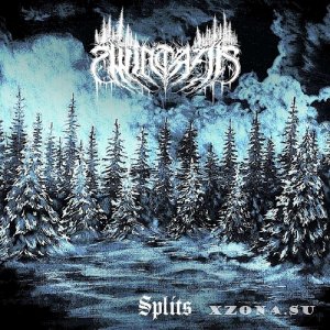 Wintaar - Splits (Compilation) (2025)