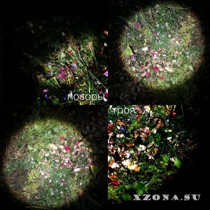  -  (Single) (2021)